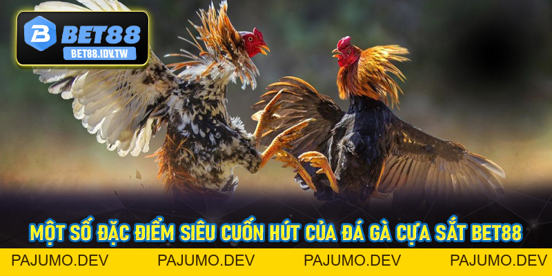 Đá Gà Cựa Sắt Bet88 - Sân Chơi Chọi Kê Đẳng Cấp Số #1 - bet88.idv.tw - PAJUMO