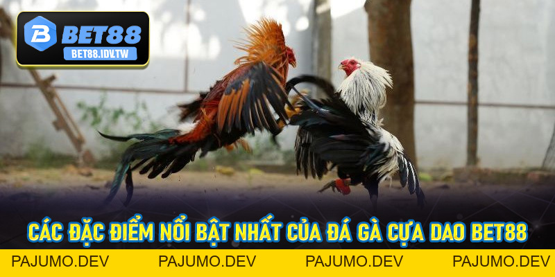Đá Gà Cựa Dao Bet88 - Sân Chơi Đẳng Cấp Số #1 Châu Á Hiện Nay - bet88.idv.tw - PAJUMO