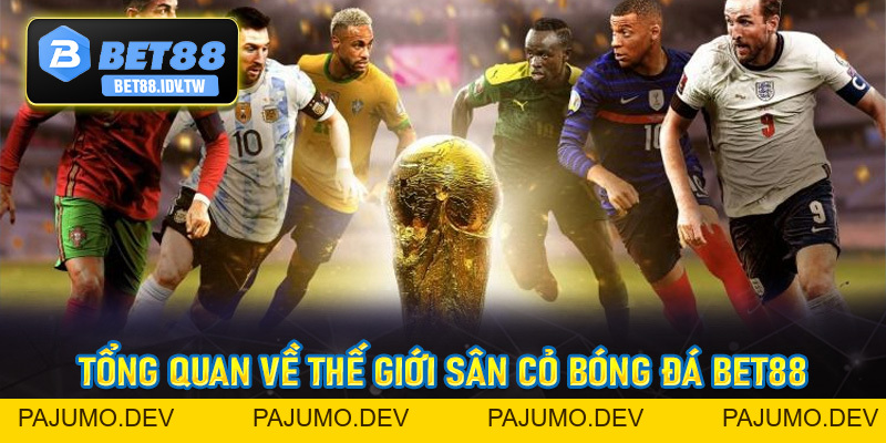 Bóng Đá Bet88 - Sân Chơi Thể Thao Đỉnh Cao Nhất Hiện Nay - bet88.idv.tw - PAJUMO