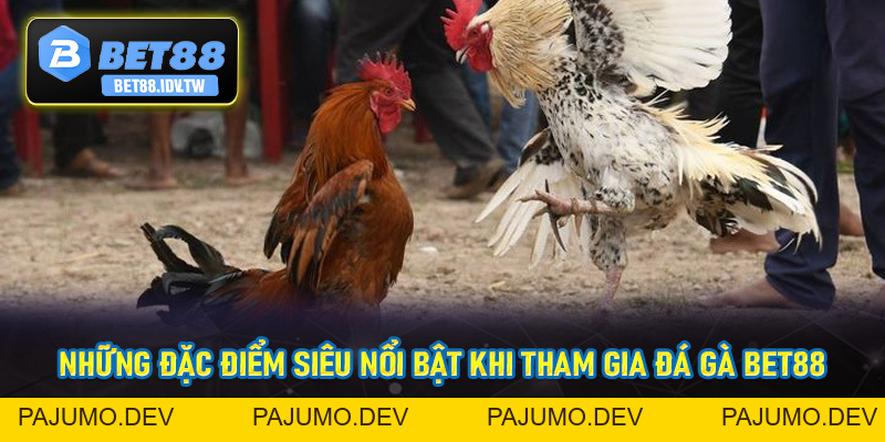 Đá Gà Bet88 - Sân Chơi Đá Gà Trực Tuyến Hot Nhất 2026 - bet88.idv.tw - PAJUMO