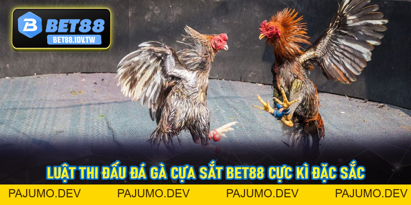 Đá Gà Cựa Sắt Bet88 - Sân Chơi Chọi Kê Đẳng Cấp Số #1 - bet88.idv.tw - PAJUMO