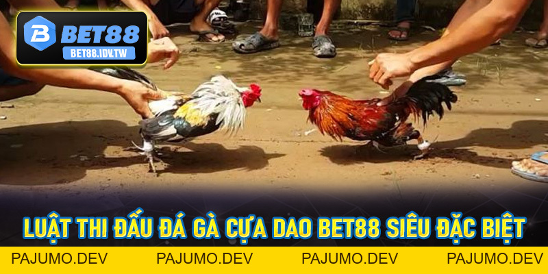 Đá Gà Cựa Dao Bet88 - Sân Chơi Đẳng Cấp Số #1 Châu Á Hiện Nay - bet88.idv.tw - PAJUMO