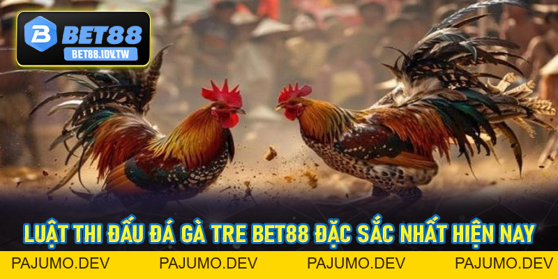 Đá Gà Tre Bet88 - Hình Thức Đá Gà Đầy Kịch Tính Hấp Dẫn Số #1 - bet88.idv.tw - PAJUMO