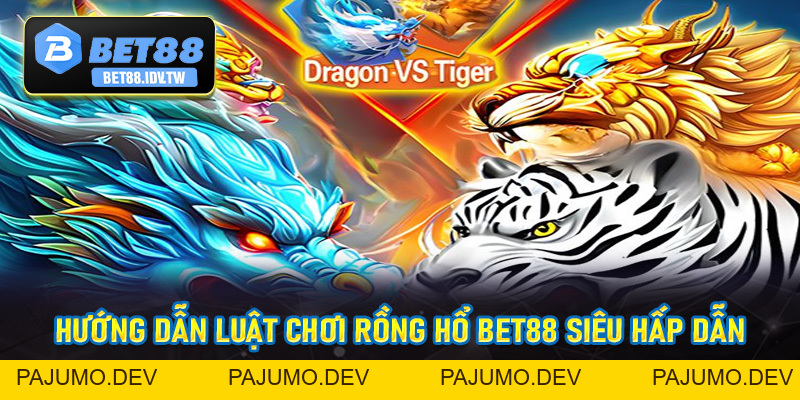Rồng Hổ Bet88 - Thiên Đường Kiếm Lời Siêu Tốc Độ - bet88.idv.tw - PAJUMO