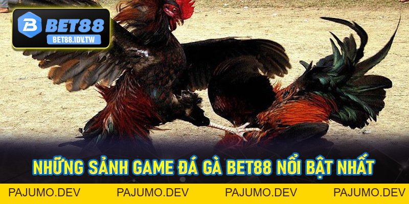 Đá Gà Bet88 - Sân Chơi Đá Gà Trực Tuyến Hot Nhất 2026 - bet88.idv.tw - PAJUMO