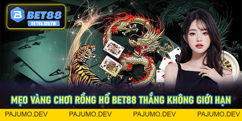 Rồng Hổ Bet88 - Thiên Đường Kiếm Lời Siêu Tốc Độ - bet88.idv.tw - PAJUMO