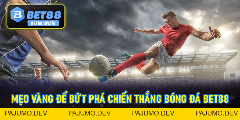 Bóng Đá Bet88 - Sân Chơi Thể Thao Đỉnh Cao Nhất Hiện Nay - bet88.idv.tw - PAJUMO