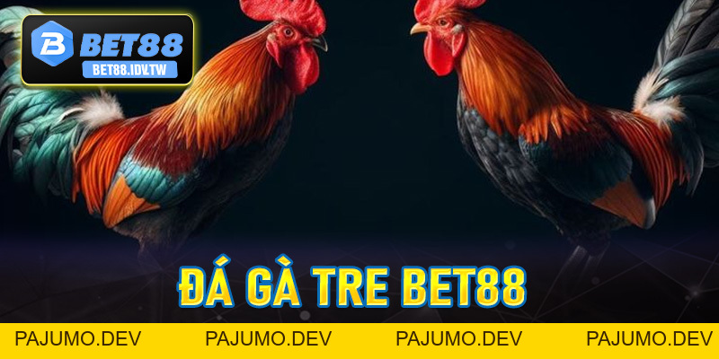 Đá Gà Tre Bet88 - Hình Thức Đá Gà Đầy Kịch Tính Hấp Dẫn Số #1 - bet88.idv.tw - PAJUMO