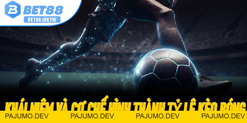 Bet88 Thưởng 88K – Nhận Quà Đăng Ký Mới Tại Sân Chơi Đổi Thưởng Uy Tín - PAJUMO