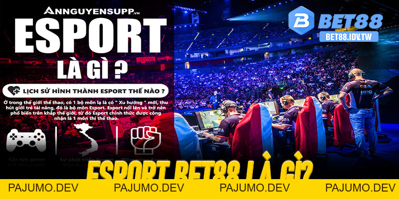 Bet88 Thưởng 88K – Nhận Quà Đăng Ký Mới Tại Sân Chơi Đổi Thưởng Uy Tín - PAJUMO