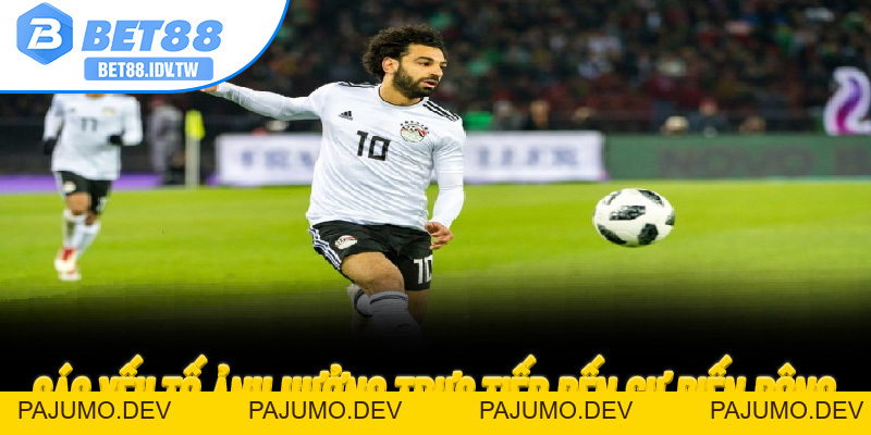 Bet88 Thưởng 88K – Nhận Quà Đăng Ký Mới Tại Sân Chơi Đổi Thưởng Uy Tín - PAJUMO
