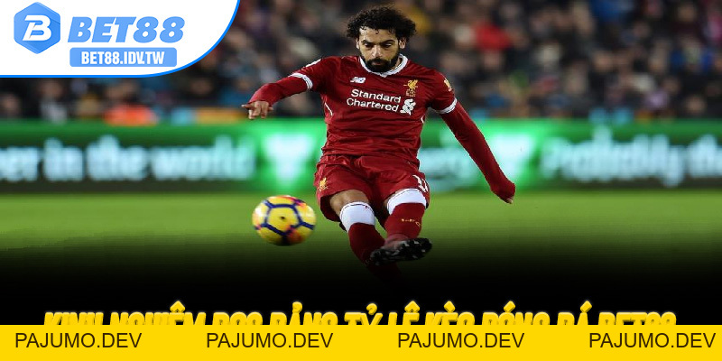 Bet88 Thưởng 88K – Nhận Quà Đăng Ký Mới Tại Sân Chơi Đổi Thưởng Uy Tín - PAJUMO