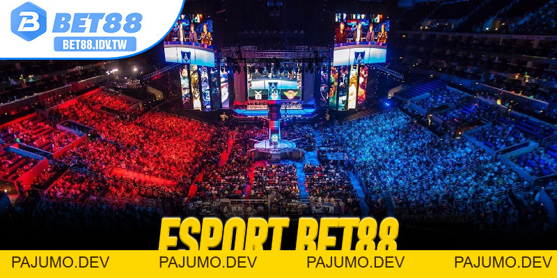 Esport Bet88 – Nền tảng cá cược thể thao điện tử uy tín - bet88.idv.tw - PAJUMO