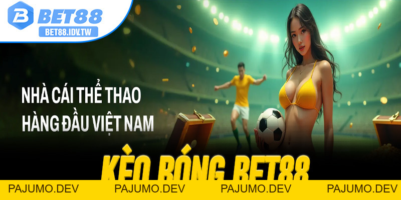 Kèo bóng BET88 – Phân tích ưu điểm và thông tin liên quan - bet88.idv.tw - PAJUMO